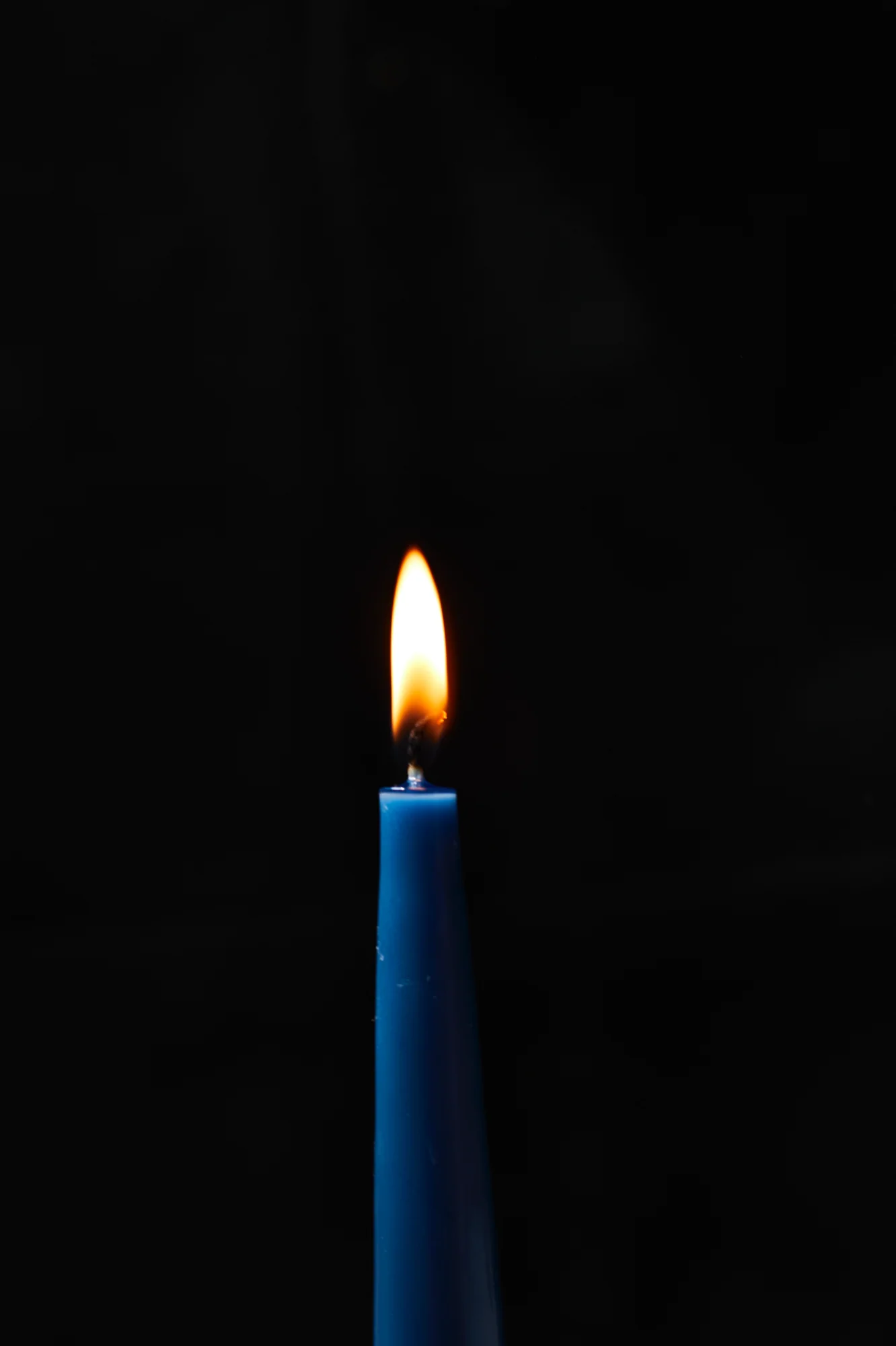 13" Made in Maine Taper Candles - Image 17